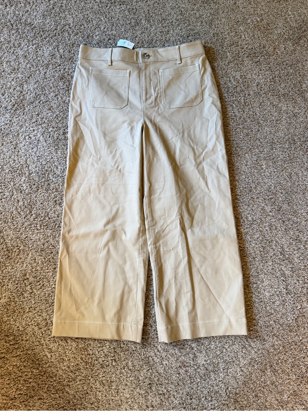 NWT Loft The Palmer Wide Leg Pants